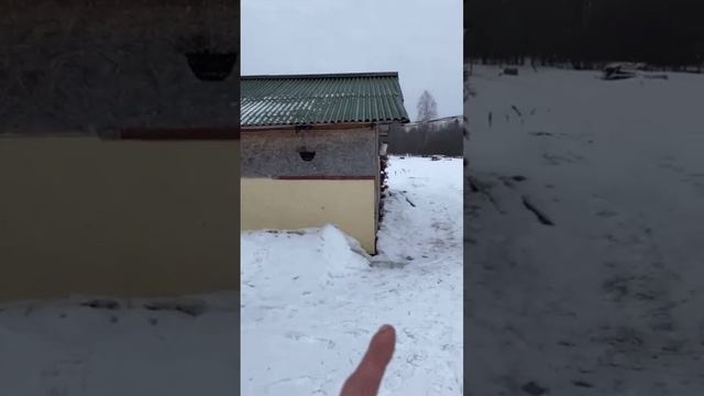 НЕОЖИДАННЫЙ ПОДАРОК НА ДЕНЬ РОЖДЕНИЯ | Необычные подарки смотреть онлайн