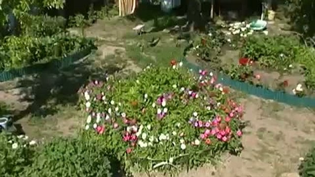 Цветник