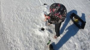 Ловим берша с Катей по последнему льду.