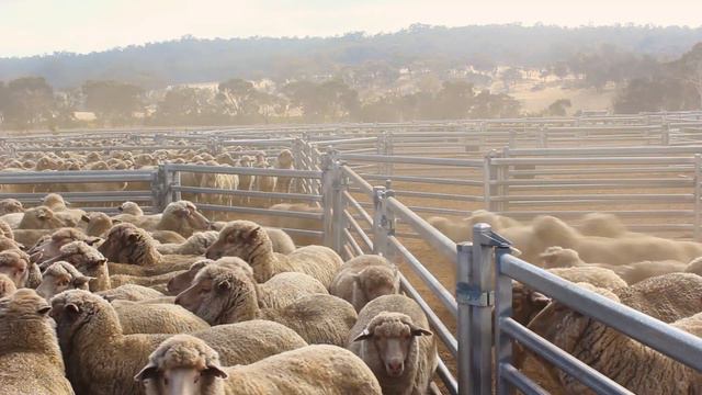 Sheepyards- Thornton Park, Wandering, WA смотреть онлайн