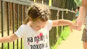 В Пензенском зоопарке ждут потомства от амурских тигров