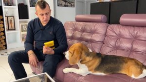 ШЕРЛОК ПОЛУЧИЛ ПОДАРКИ НА 23 ФЕВРАЛЯ. БРОС ШОУ ПЕТ