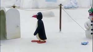 Pingu And Pinga Enjoy Ice Cream! @Pingu | Cartoons For Kids