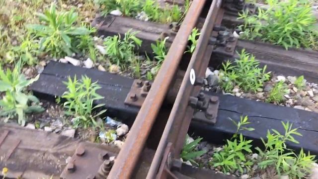 Видео Для Детей Смотрим Железнодорожные Стрелки И Развилки.Скоростной Поезд Ласточка И Тепловоз смотреть онлайн