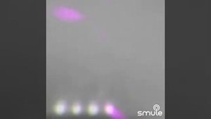 Заплутали 🌴 мишки 🌲 заплутали 2021