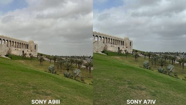 Sony A9 III Vs Sony A7IV Camera Test Comparison | Sony A9III Shutter Camera