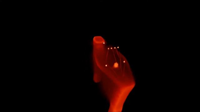 LED (2-pin RGB) micro-computed tomography смотреть онлайн