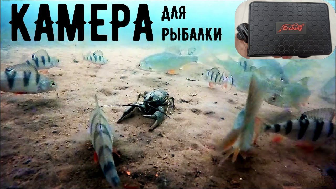 Бюджетная подводная камера для зимней рыбалки Erchang F431 новинка 2021 года