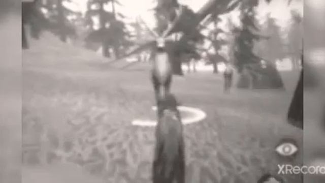 Аккаунт в WildCraft без ключа(Без онлайна:()+Мичтик на волка+лиса ур.180.+С.лисы+Страшилка. смотреть онлайн