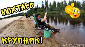 Мохтарь на жарёху ► отличный размер