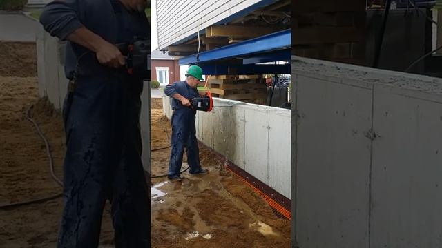 Ics - Québec смотреть онлайн