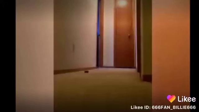 Холодно папугаю смотреть онлайн