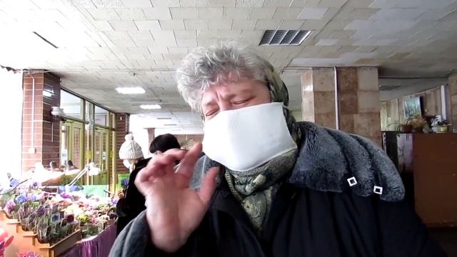 Уход за фиалками  Борьба с вредителями сенполий