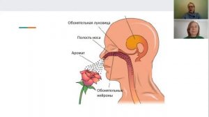 Страх успеха и самосаботаж