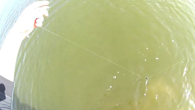 Вилейка - на острове ловля на закидухи и фидер. 2 часть. смотреть онлайн