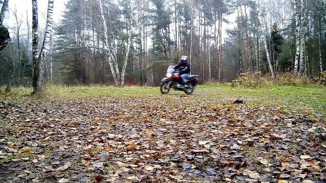BAJAJ BOXER Джимхана лесная не асфальтная. смотреть онлайн