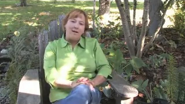 How to Grow an African Daisy (Arctotis) смотреть онлайн