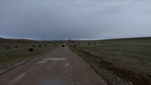 Kyrgyzstan! This is why we miss Kyrgyzstan ❤