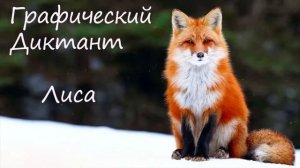 Графический Диктант Лиса