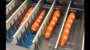 Нарезка моркови Sormac модель WOS-1A (Русбана).wmv