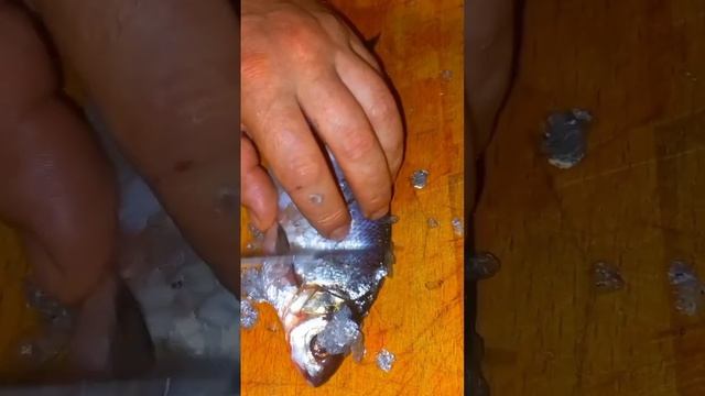 Как правильно чистить речную рыбу