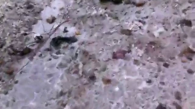 Горловка Озеряновка наша!