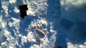 Рыбалка на озере Кушкар. Рыбалка в Башкортостане.