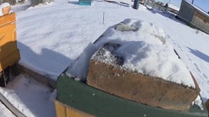 восьмирамочные ппу улья как проходит зимовка пчёл 2019