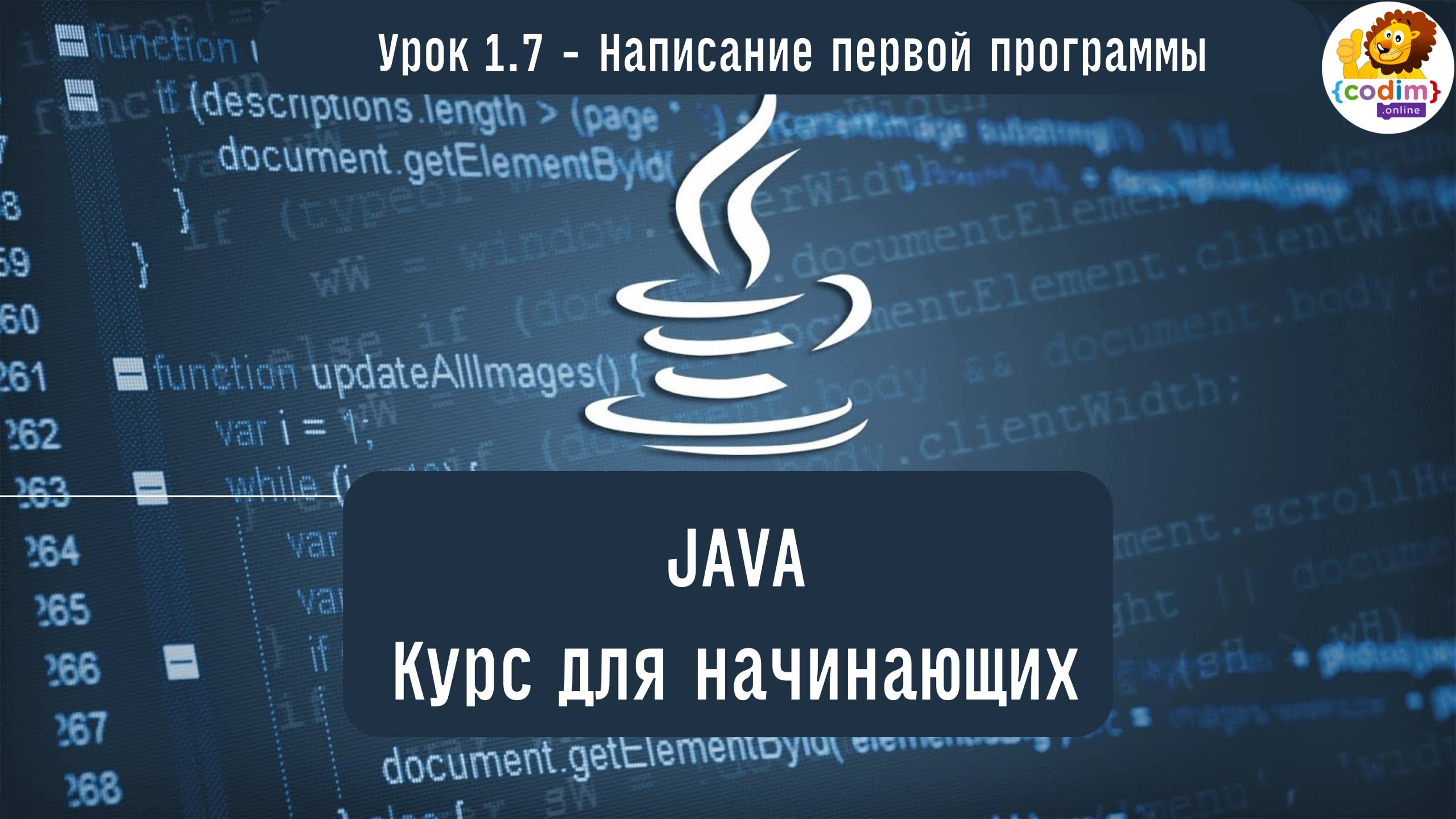 #Java Урок 1.7 Написание первой программы. Видеоуроки с нуля для детей 12  лет от школы Codim.Online
