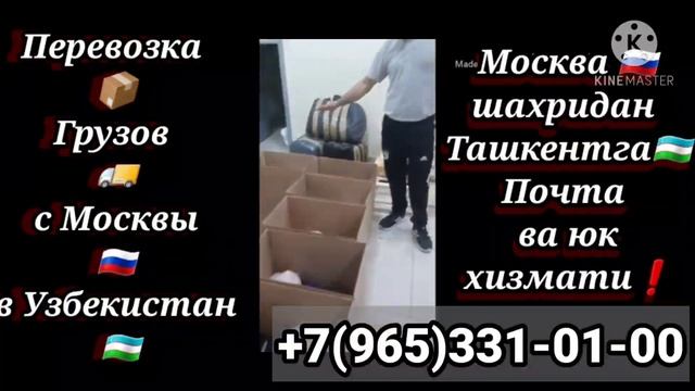 Санкт-петербург-ташкент почта москва-ташкент почта Россия Узбекистан почта смотреть онлайн