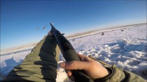 Весенняя охота на гусей Goose hunting