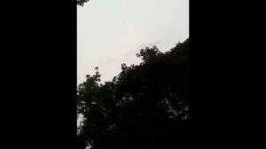 ТОП 5 КИТАЙСКИХ ДРАКОНОВ СНЯТЫХ НА КАМЕРУ