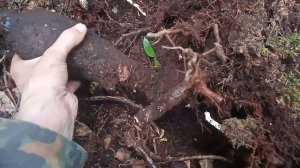 коп. опасная находка