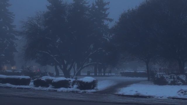 Прогулка под дождём (1983-84гг..) смотреть онлайн