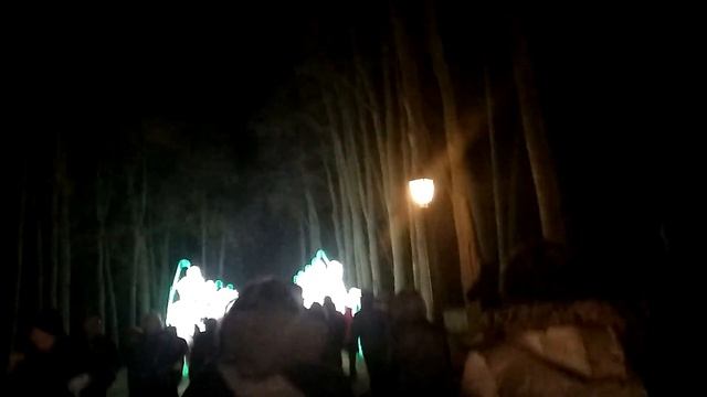 Туннель из сияющих цветов. Фестиваль китайских фонариков в поместье Пакрою. Литва. смотреть онлайн