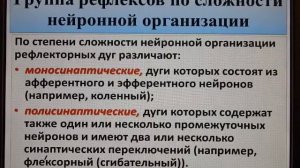 Рефлекторная дуга. Рефлекс. Анатомия и физиология человека.
