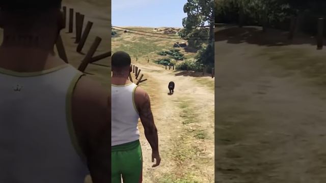 ТЫ ТОЧНО НЕ ЗНАЛ ОБ ЭТОМ В GTA 5 #пасхалки #интересные факты #эдвардбилл #gta5 #gtaonline #gtasa смотреть онлайн