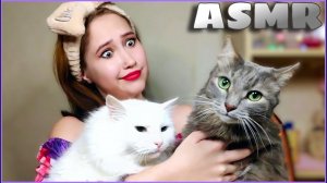 АСМР С КИСКАМИ МУРЧАНИЕ МУРАШКИ  ВЫБЕРИ ЛУЧШЕГО | ASMR CATS PURRS GOOSEBUMPS CHOOSE THE BEST