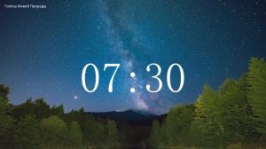 Обратный отсчет Таймер 15 минут. Звуки живой природы / Countdown. Timer 15 min. #ГолосаЖивойПрироды