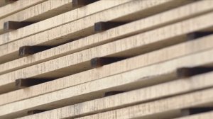 Презентация о компании "Эко Тойс". Производство деревянных игрушек "Куби Дуби" (2017)