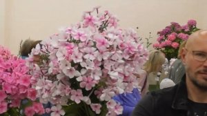 13 победителей основной экспозиции выставки "Мир флоксов - 2022"