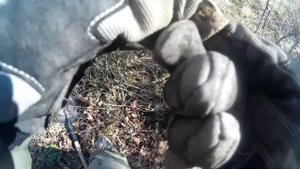 Поиск  монет и кладов в Крыму с Xp Deus