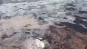 Нефтепродукты на реке Лене в Усть-Кутском районе