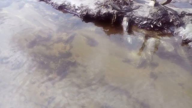 Россия богатая страна . смотреть онлайн