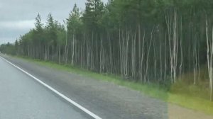 Путешествие Санкт-Петербург - Мурманск на машине Июнь 2022