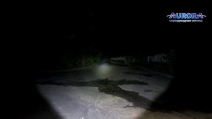 Светодиодная балка AURORA ALO-D5D-10 100W