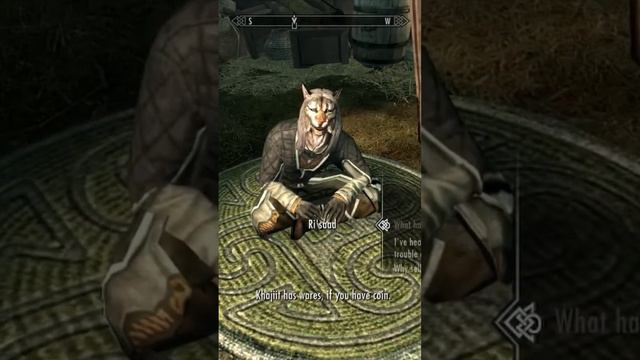 Khajiit has wares, if you have coin.