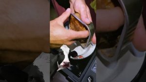 Обзор Газовая Плитка Ермак