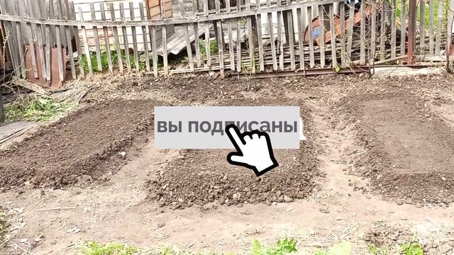 ВЫСАДИЛА РАССАДУ ТОМАТОВ В ОТКРЫТЫЙ ГРУНТ 21#226 СУББОТА 22 МАЯ смотреть онлайн
