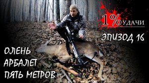 1% УДАЧИ. Эпизод 016: Добыл оленя с арбалета с 5 метров.